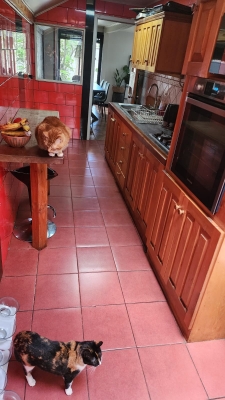Venta-de-Casa-en-Valdivia-Pedro-Montt